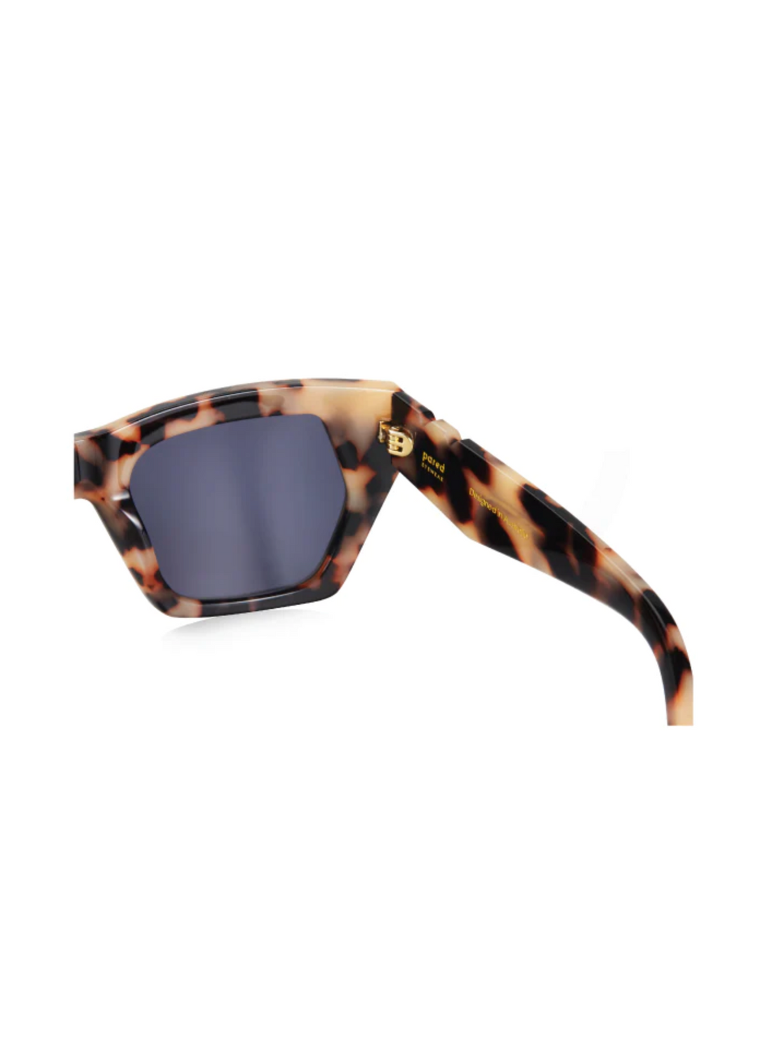 Lo & Behold - Pared Eyewear - Cookie