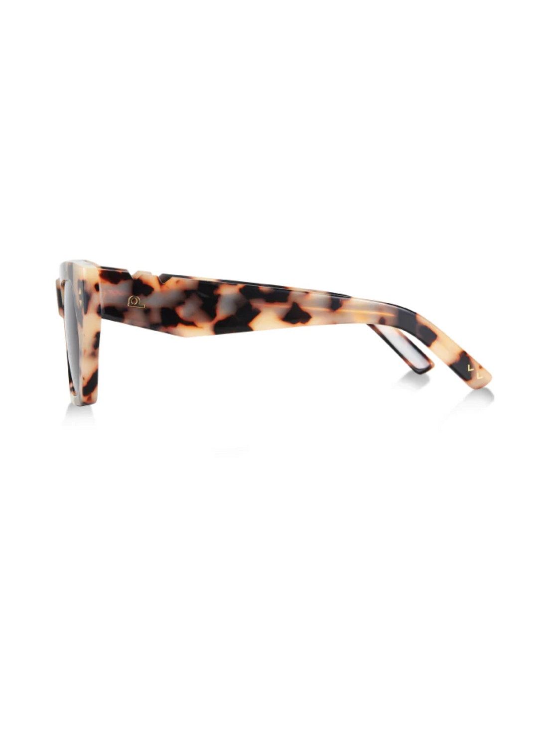 Lo & Behold - Pared Eyewear - Cookie