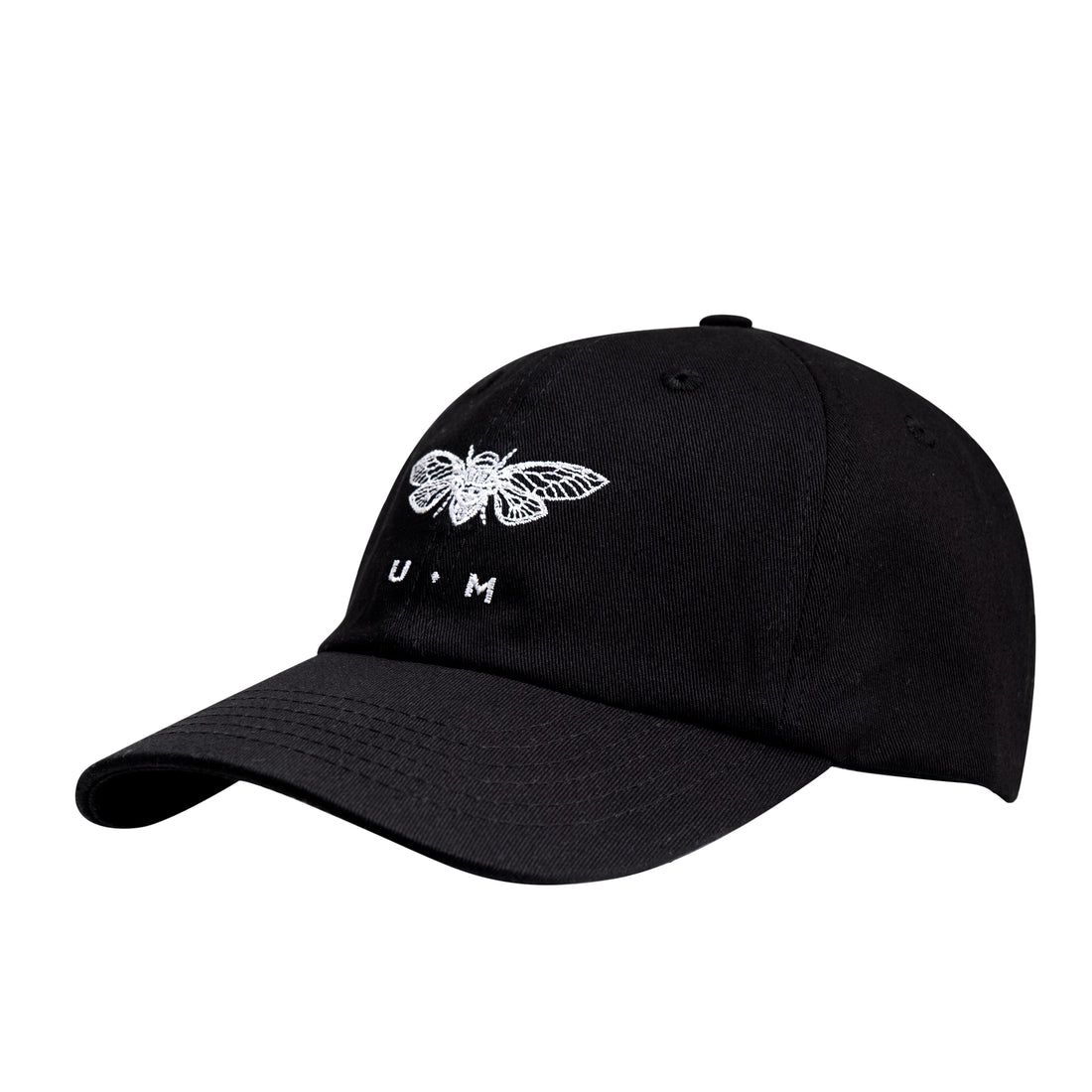 Riley Black - Dad hat