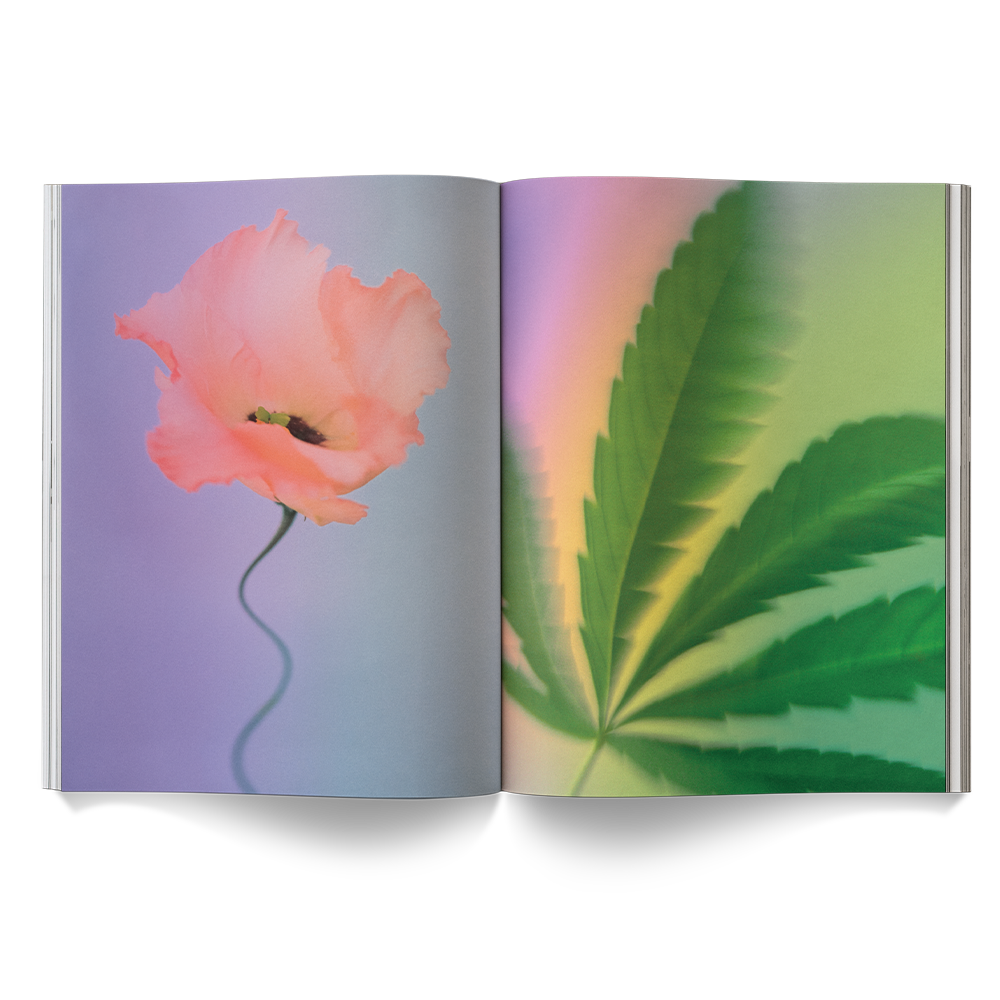 A Weed is a Flower Book