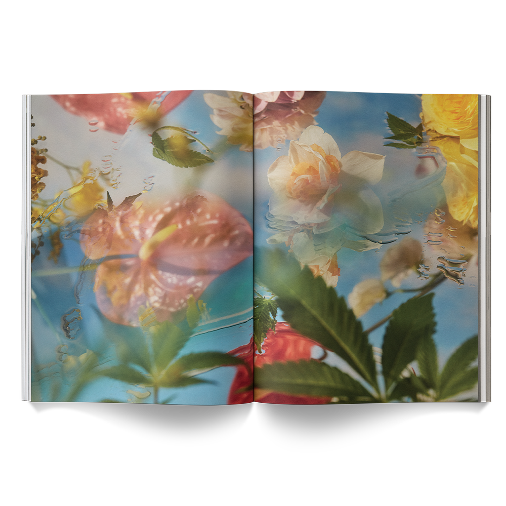 A Weed is a Flower Book