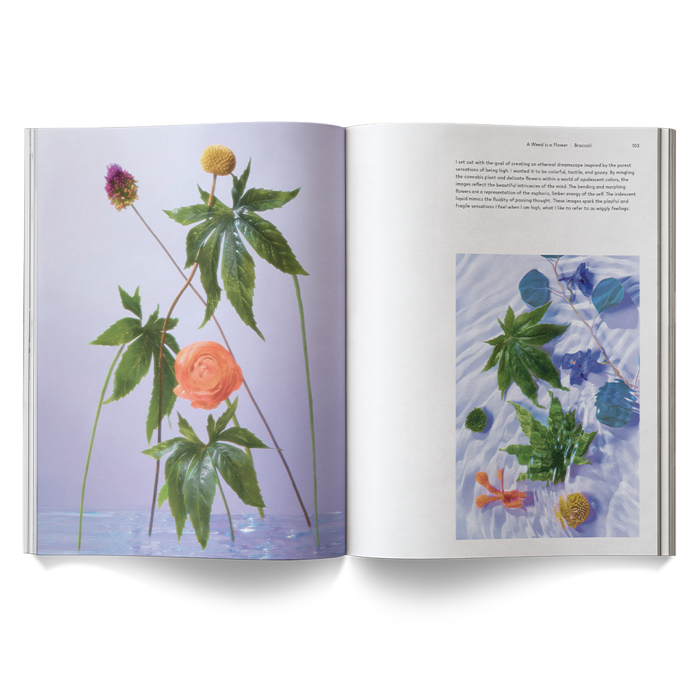A Weed is a Flower Book