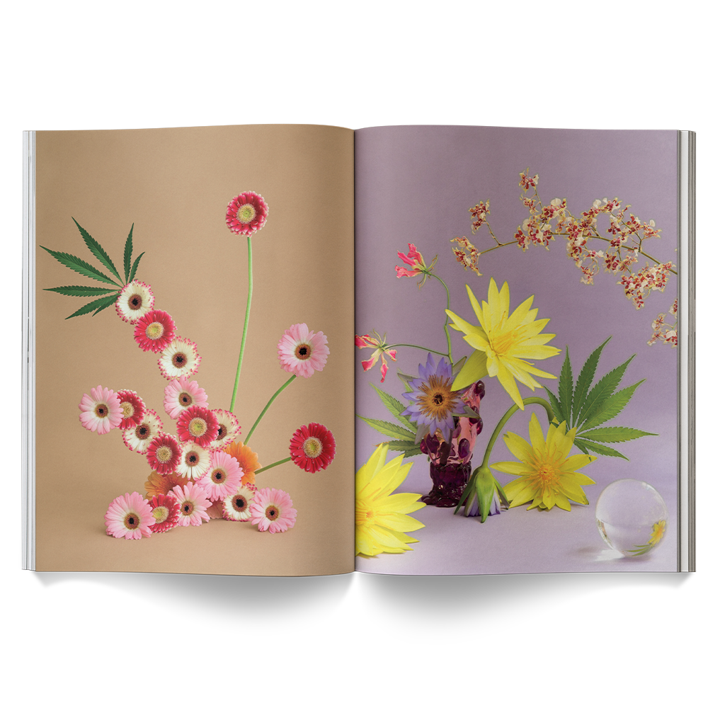 A Weed is a Flower Book