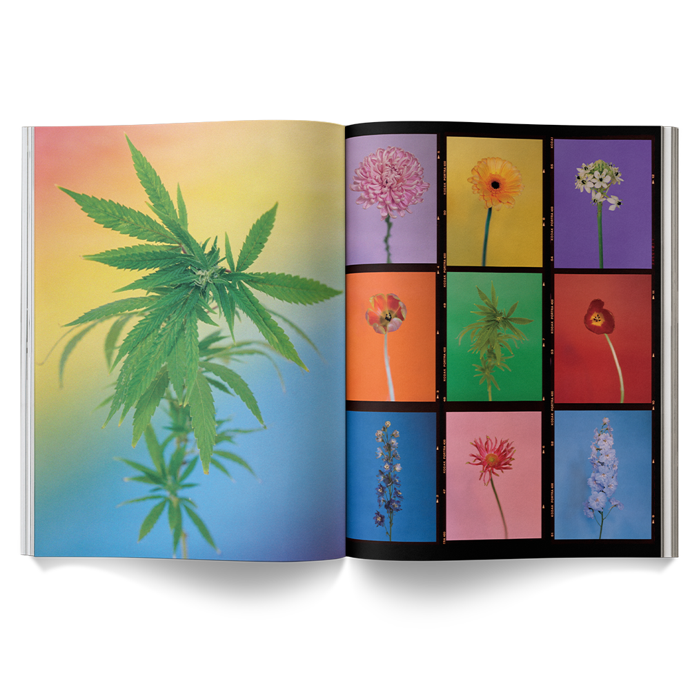 A Weed is a Flower Book