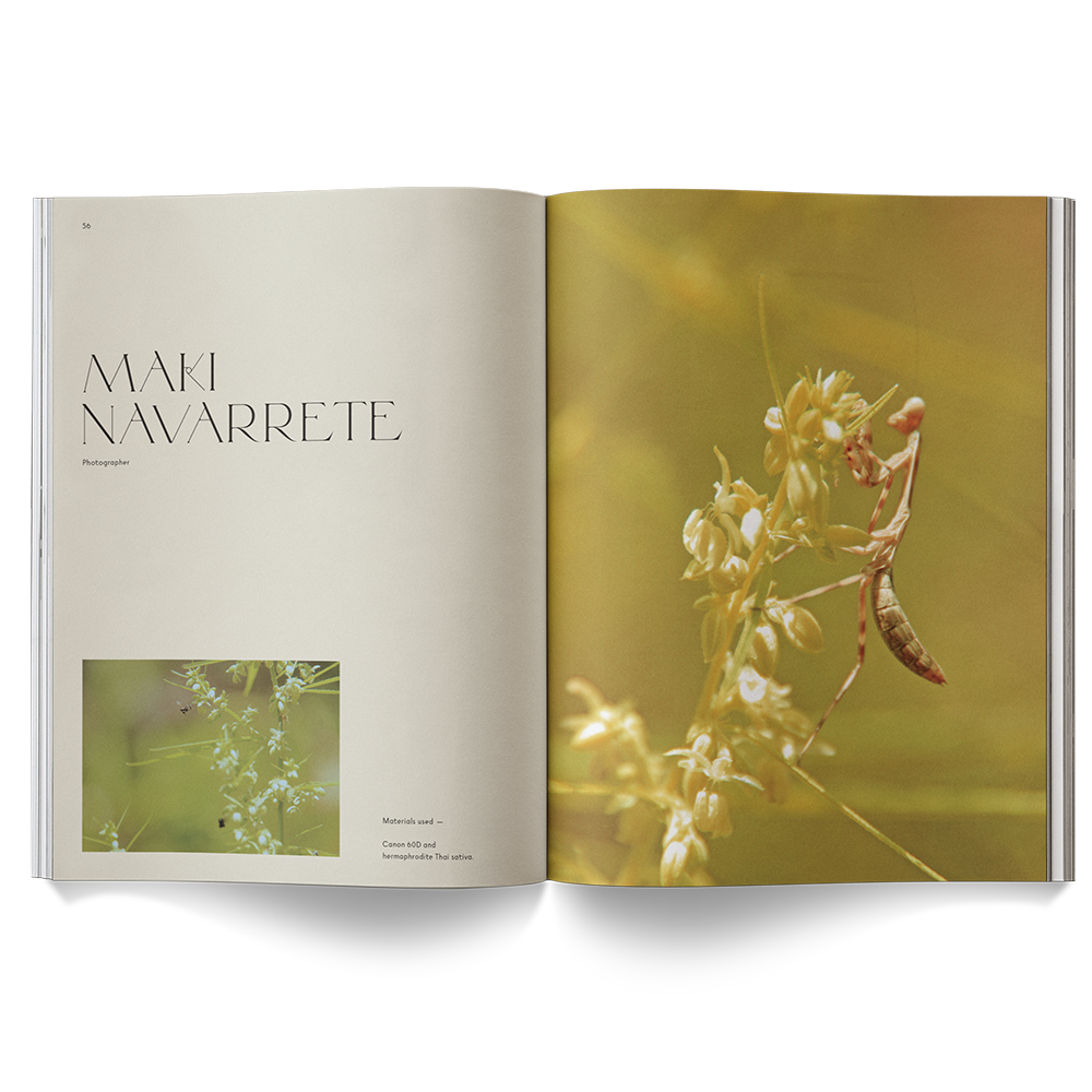 A Weed is a Flower Book